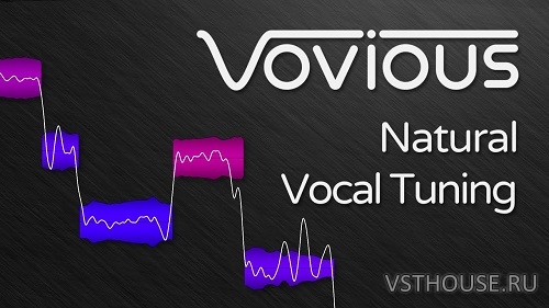 DoublePi Technologies - Vovious v1.0.11 DoublePi Technologies - Vovious v1.0.11