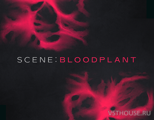 Native Instruments - Scene Bloodplant 1.0.1 Full + Update Native Instruments - Scene Bloodplant 1.0.1 Full + Update